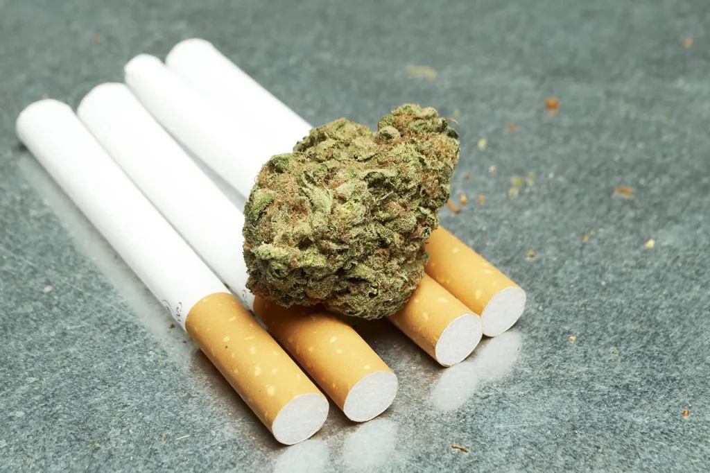 Convenient Online Delivery of CBD Cigarettes Germany
